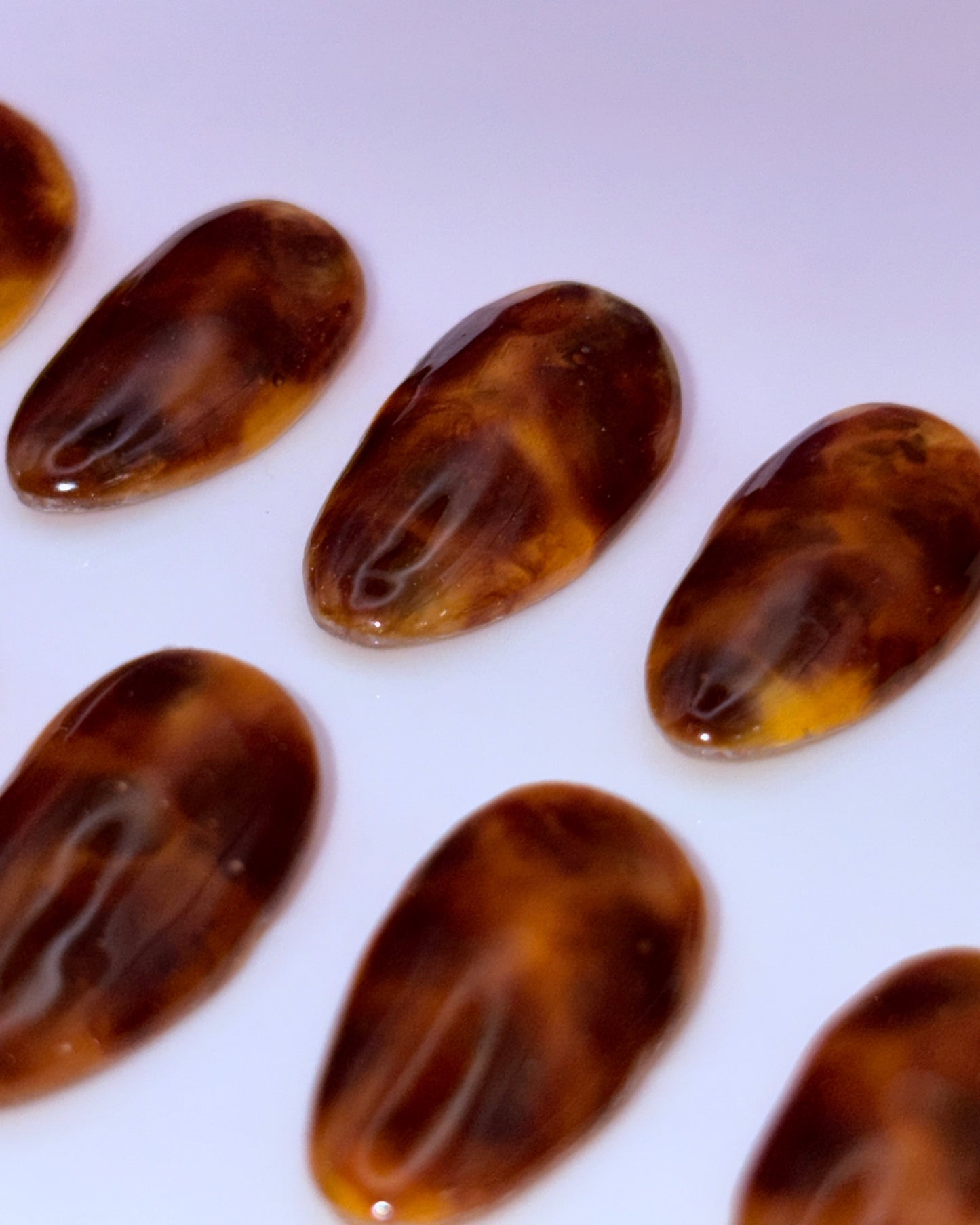 Tortoise Shell